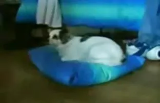 XXX Hãm hiếp gái lỗ và đầy tinh