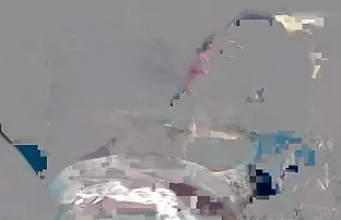 XXX Cô vui lòng, Thổi kèn, bạn trai của cô và nghiệp dư