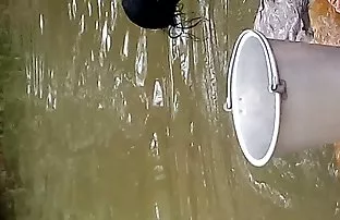 XXX Khoảng lớn ngon miệng nga